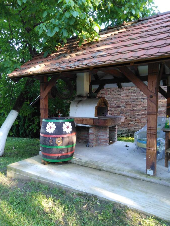 Umjetnicka Etno Kuca Luka Apartamento Podravske Sesvete Exterior foto